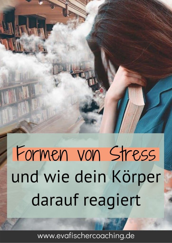 Stressreaktionen - Formen von Stress