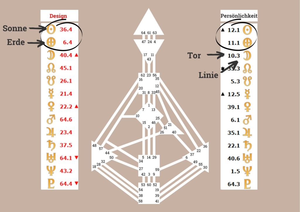 Erklaerung Human Design Rave Chart
