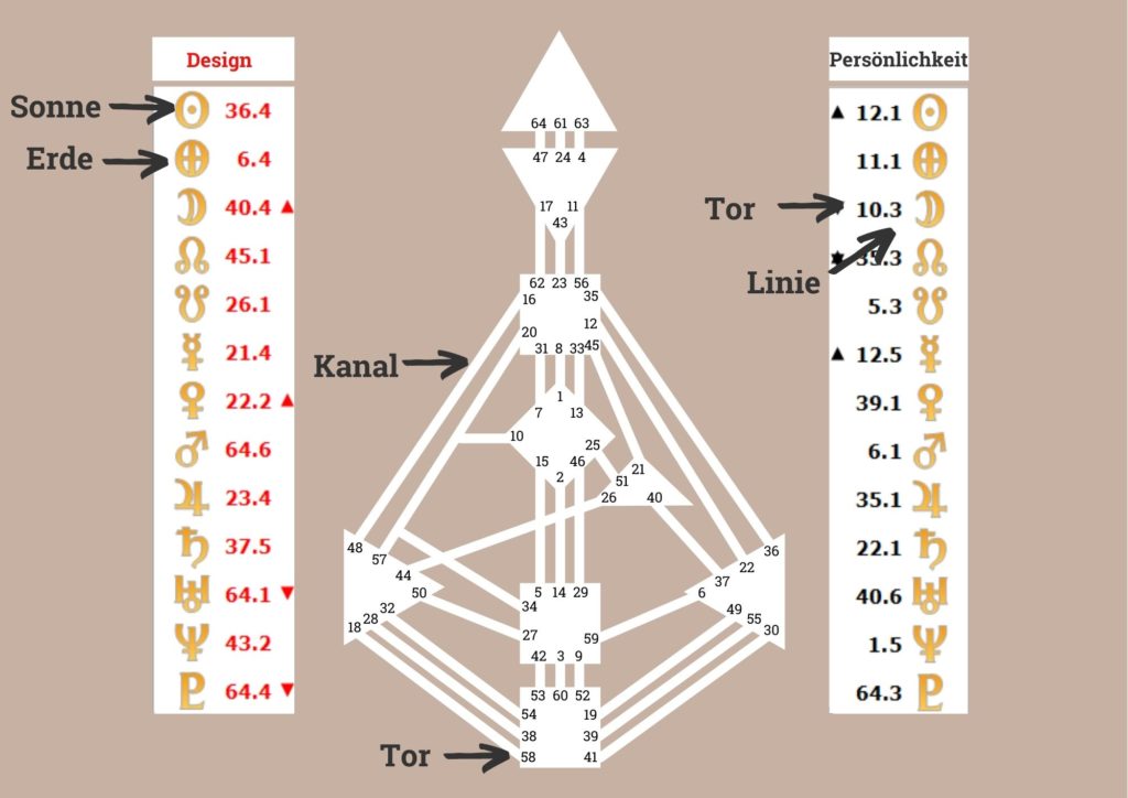 Human Design Tore im Rave Chart